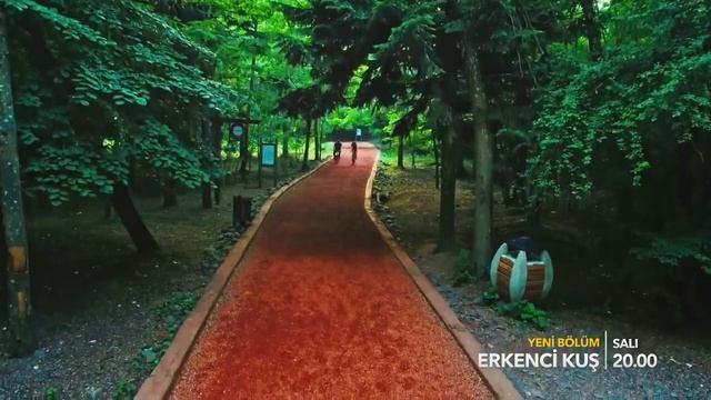 Ранняя Пташка 3 серия 1 фраг Русская Озвучка смотреть онлайн