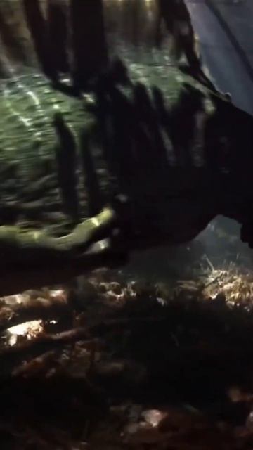 #jurassic #jurassicpark #jurassicworlddominion #jurassicworldevolution2 #dominios #youtubeshorts смотреть онлайн