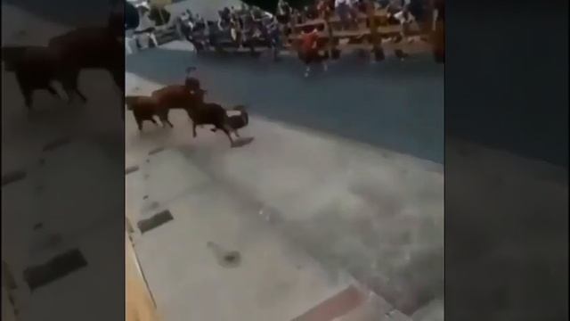 Очень ловкий мужичек ушел от нескольких быков во время энсьерро. смотреть онлайн