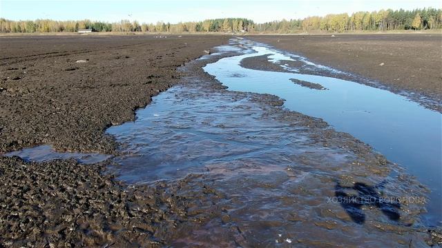 Летаю над спущенным прудом . Вижу рыбу. Много рыбы смотреть онлайн