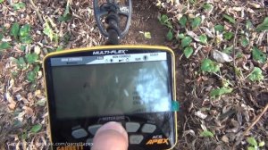 Garrett ACE Apex - ТЕСТ на ЗОЛОТО в грунте / Garrett ACE Apex gold depth test