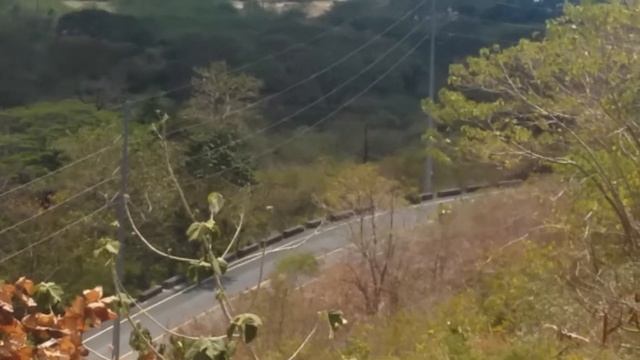 Pico de loro смотреть онлайн