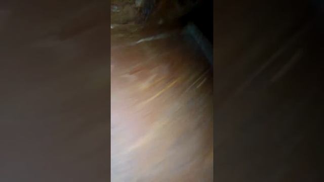 Заброшенный магазин часть 1 смотреть онлайн