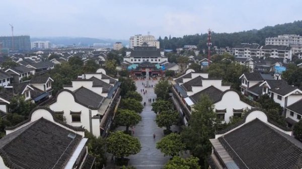 Царство грибов паутина жизни 2024 / Fungi The Web of Life 2024