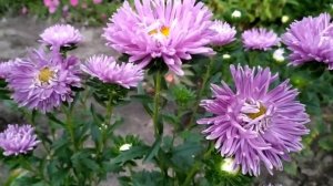 За первого встречного 2 сезон 1 серия (13 серия) | Дата выхода