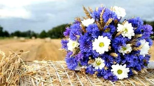 На пажить злачную в небесный край... смотреть онлайн