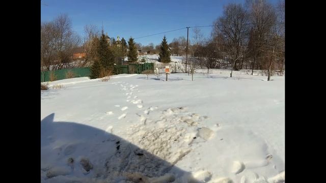 На даче 25 марта 21 года Эксперимент с петунией смотреть онлайн
