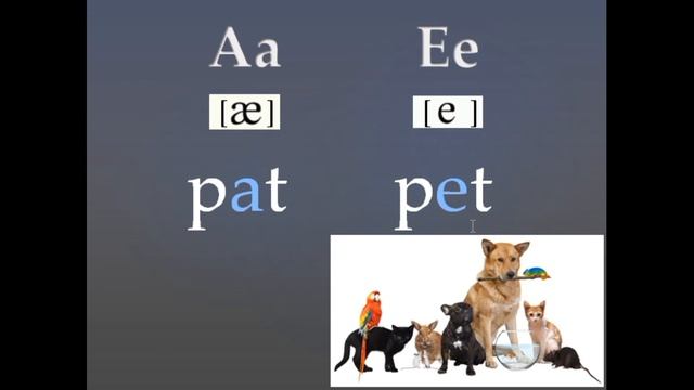 гр 8 Letters a, p, t, e смотреть онлайн