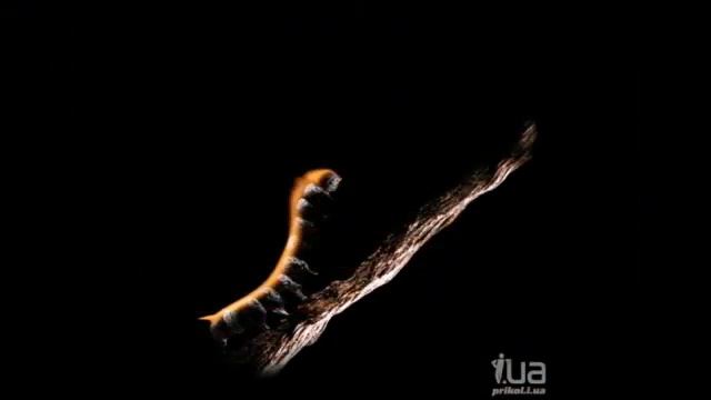 Дьявол в огне волшебных спичек Станислава Аристова