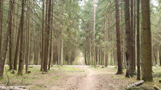 Новый день / Лена LIFE / Как выжить на пенсию?! Переживания Юры! / Обзор влогов смотреть онлайн