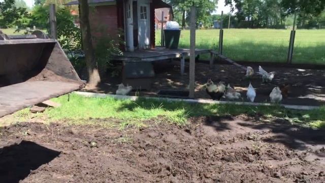 FarmVLOG #16 Foton Europard FT 254 Schweinemist verladen смотреть онлайн