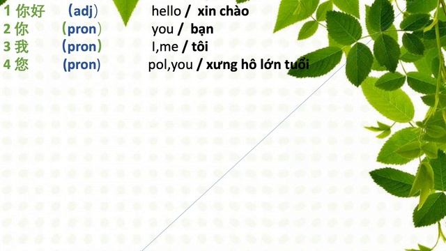 Bài 1 你好 xin chào 。hello boya chinese Elementary Second Edition , học tiếng trung 博雅汉语 смотреть онлайн