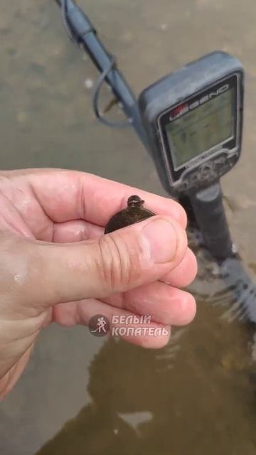 Отличная находка✌ не ожидал её найти смотреть онлайн