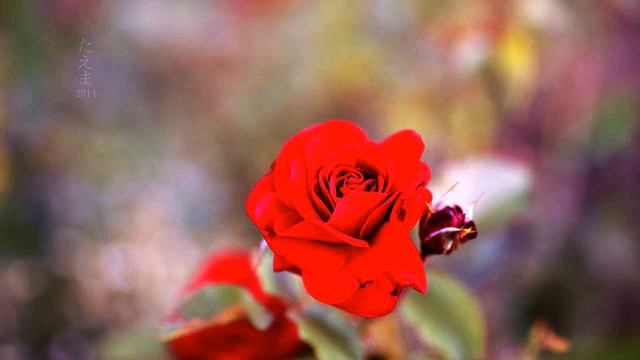 Слушать новую музыку и фото онлайн смотреть онлайн