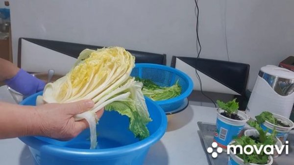 Вкусное соление из пекинской капусты.Кимчи .