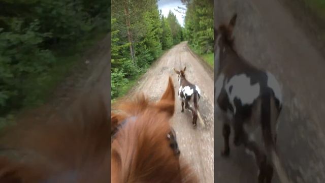 Renée tar täten. смотреть онлайн