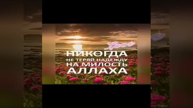 Красивый Нашид на русском языке смотреть онлайн