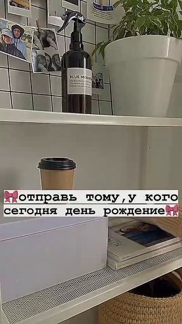 🥺 #рек #эстетика #черепаха смотреть онлайн