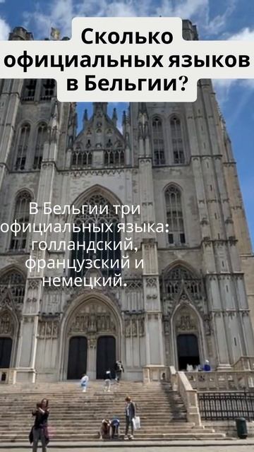 Сколько официальных языков в Бельгии?