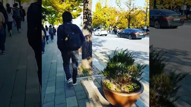 Учёба в Кореи Университет иностранных языков HUFS смотреть онлайн