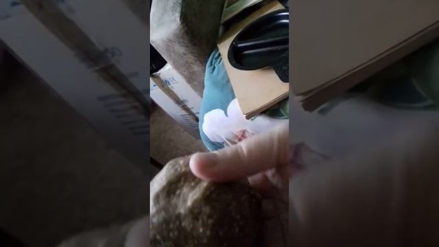 пост крупяные лепешки смотреть онлайн