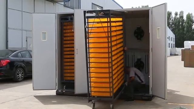 Fully automatic smart egg incubator | Chick hatcher | Hatching eggs смотреть онлайн