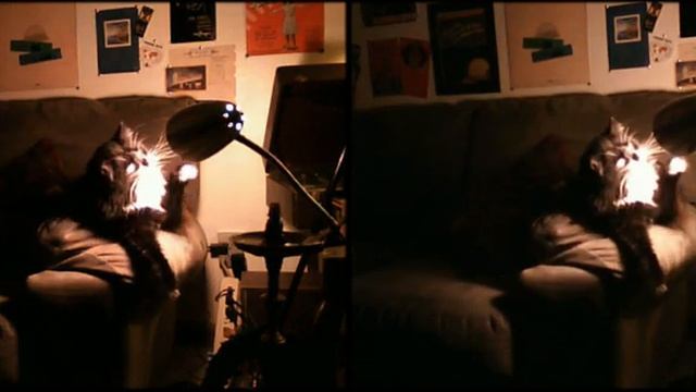 Pussy In 3D! Stereoscope Motion Picture смотреть онлайн
