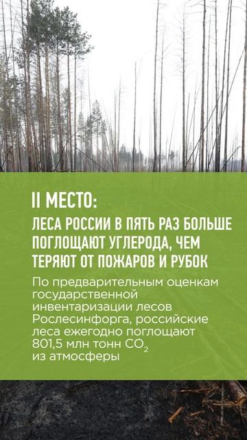 Новости лесозаготовки ТОП-3. Актуальное за неделю (03.06.2022) #лесозаготовка #новости смотреть онлайн