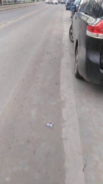 Грязь на дороге. Кашира, ул. Садовая д.37. 08.04.2022г