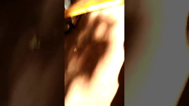 Музей парки усадьбы с классом