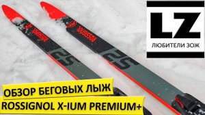 Обзор беговых лыж Rossignol X-IUM Premium+