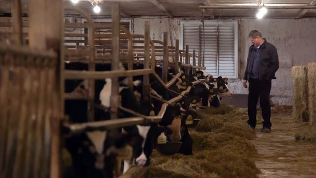 Dairy Bioscience Video смотреть онлайн