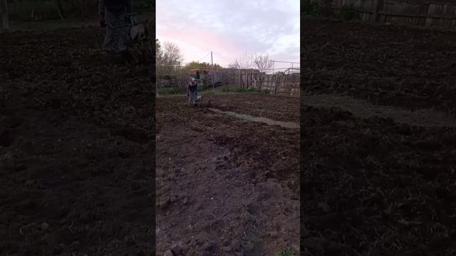 мотоблок из Дружбы смотреть онлайн