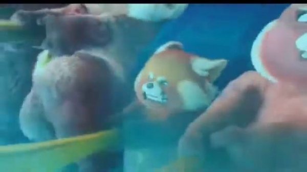 Песня фортаун