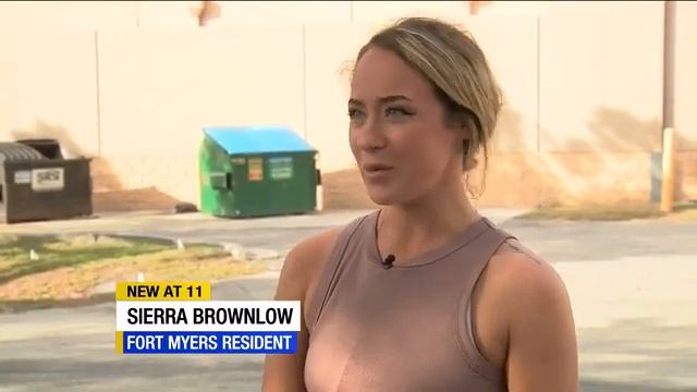 Live animals found thrown in dumpster behind Fort Myers pet store смотреть онлайн