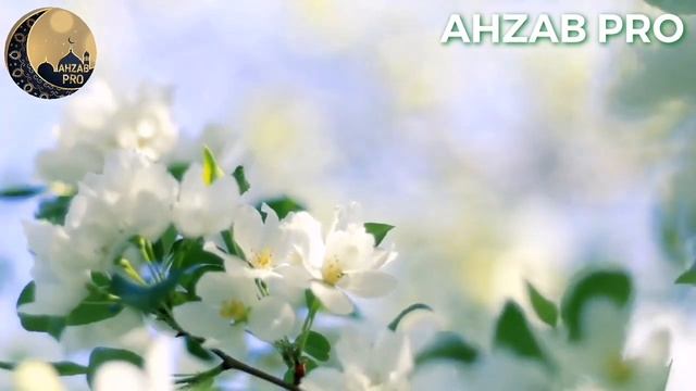 ОЧЕНЬ КРАСИВЫЙ НАШИД | АЛЛАХУ АЛЛАХУ Я АЛЛАХ | 2021 смотреть онлайн