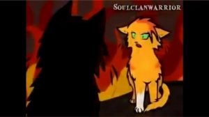 коты воители (клип) -Blood Water на русском