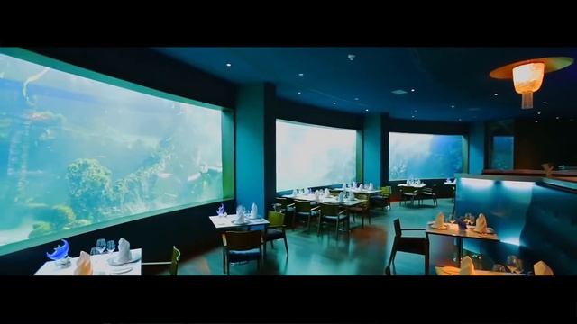 Конференция для менеджеров 2016 смотреть онлайн