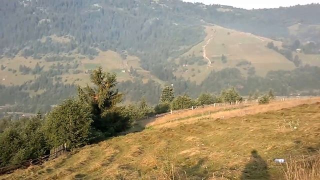 Вот это красота ...