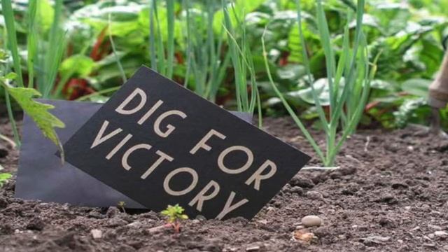 Russell Bowes, The Progress Residents Association Centenary Event смотреть онлайн