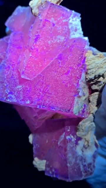 Fluorite Barite from Berbes Spain under #365nm 65nm #longwave #uva #fluorescent #uvmineral смотреть онлайн