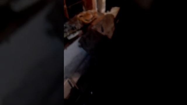 VID_20170425_194913.mp4 смотреть онлайн