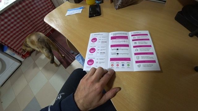 Перепилиные яйца для Пэкса, готовлюсь на работу