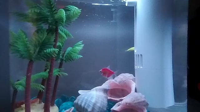 Xiaomi HF-JHYGZH001 Descriptive Geometry Ecological Fish Tank Aquarium LED Light смотреть онлайн