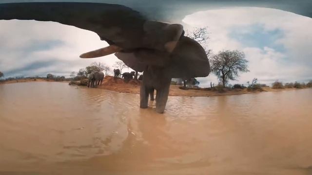 Живая природа смотреть онлайн