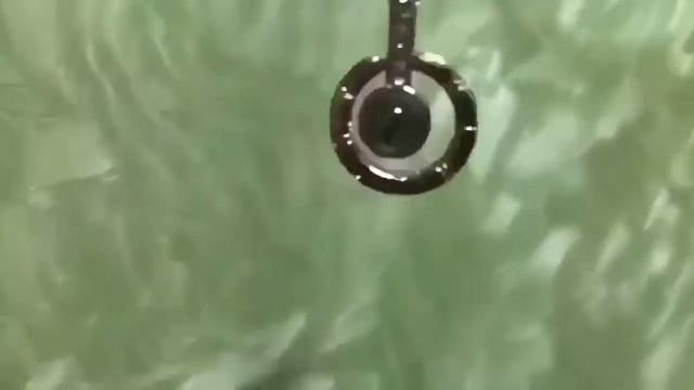 Кулон я люблю тебя на 100 языках - проверка. Я была в шоке! (серьезно) смотреть онлайн