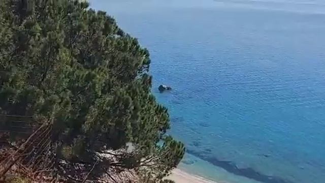 ROSA MISTICA,MADRE DIVINA E MADRE TERRA смотреть онлайн