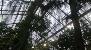 Ботанический сад Петра Великого