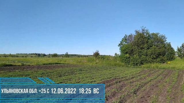 12.06.2022 Ульяновская область +25 С Воскресенье. Ежедневный дневник погодных наблюдений. смотреть онлайн
