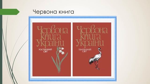 Червона книга смотреть онлайн